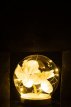 JL143524 Stolp Bol Led Bloemen Glas in Hout Wit/Naturel Medium