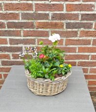 Bloemenmand buiten midden – rijkgevulde zomerbloeiers