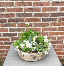 Bloemenmand buiten groot – rijkgevulde zomerbloeiers