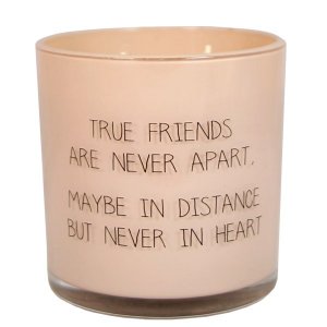 sojakaars - true friends are never apart