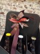 ZH103126-6 Lokale bierenbox 6 flesjes